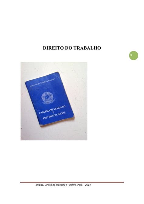 Direito do Trabalho Apostila Acadêmica PDF