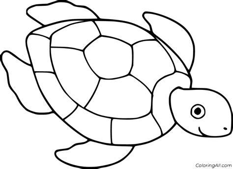 Water Turtle Coloring Pages - coloring pages