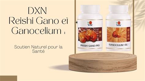 DXN REISHI GANO RG ET GANOCELIUM GL Un soutien naturel pour la santé