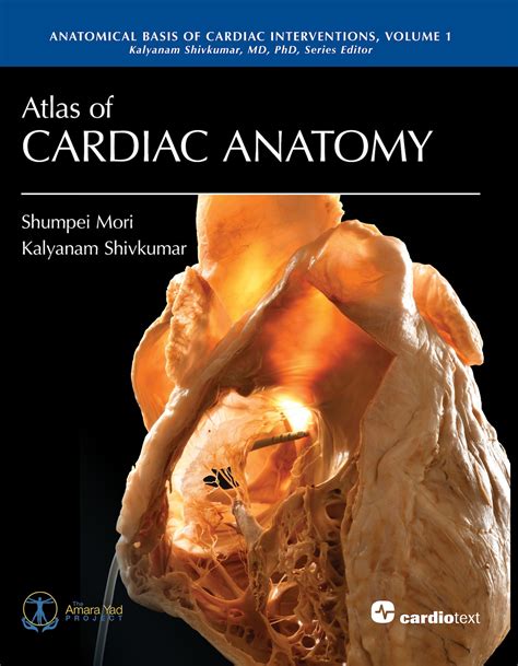 Amara Yad Cardiotext Publishing Cardiology Books And EBooks