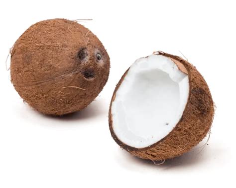 A Grade Solid Organic Husked Coconut Packaging Size Piece At Rs