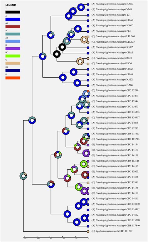 Ancestral State Reconstruction And Divergence Time Estimation Of