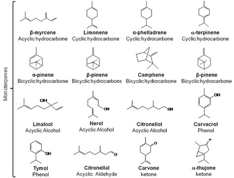 Examples of some monoterpenes compounds found in essential oils of ...