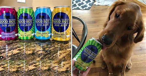 alcoholic beer  dogs    cool   sounds