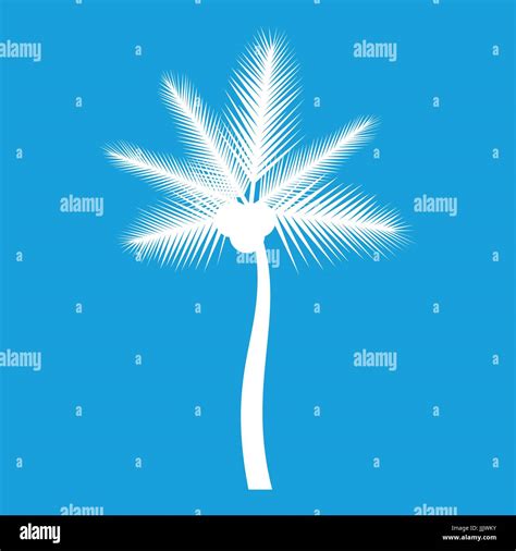 Butia Capitata Im Genes Vectoriales De Stock Alamy