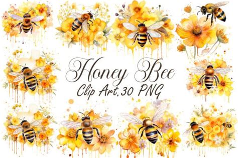 Watercolor Honey Bee Clipart Vol 4 Graphic By MN DeSign Creative