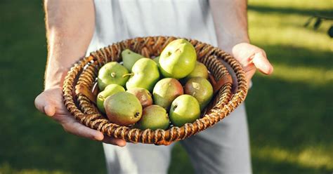 Tipos De Peras Muy Digestivas Y Apetecibles