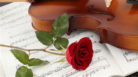 Violin Roses Wallpapers Top Free Violin Roses Backgrounds