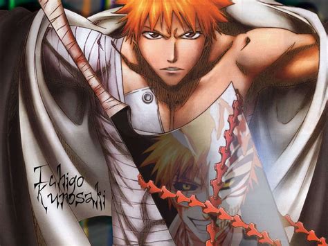 Bleach Bleach Anime Wallpaper 8281804 Fanpop