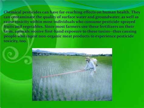 Ppt Impact Of Chemical Fertilizers On Human Health Powerpoint