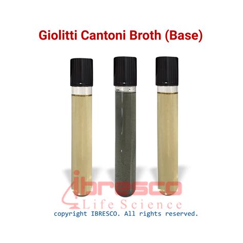 Giolitti Cantoni Broth Base Ibresco