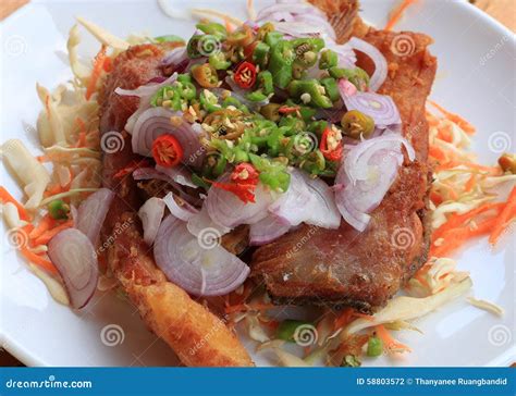 Mix Fish stock photo. Image of gourmet, menu, restaurant - 58803572