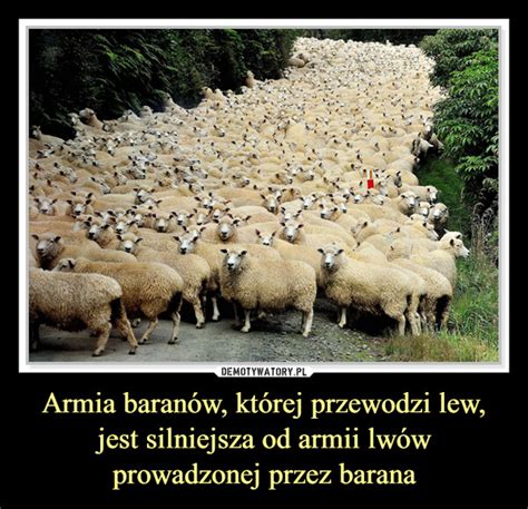 Armia baranów której przewodzi lew jest silniejsza od armii lwów