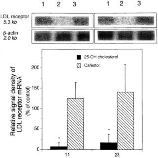 The effect of cafestol and 25-hydroxycholesterol on the amount of mRNA... | Download Scientific ...