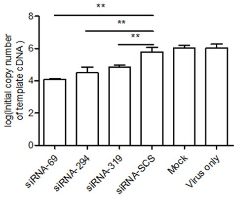 Rnai Inhibits Viral Rna Rd Cells Were Treated With Each Sirna And Then