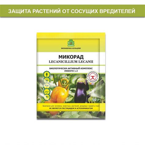 Микорад INSEKTO 1.3 (Lecanicillium lecanii)