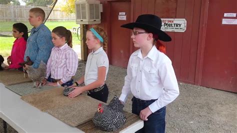 Rowans 4h Chicken Showmanship Youtube