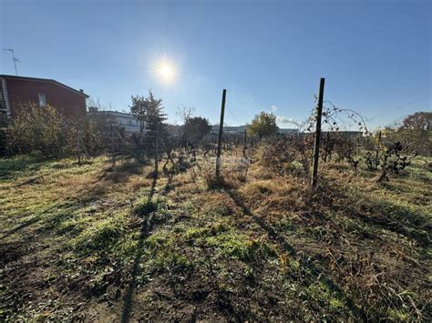 Terreno Edificabile Viale Raffaello Sanzio Mortara Rif