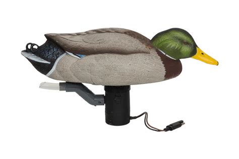 Banded GHG Finisher Swimmer Motion Mallard Drake Sportsman S Outdoor