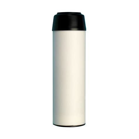 Pentek GAC (Granular Activated Carbon) Filters | 10" & 20"