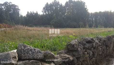 Venda De Terreno Agr Cola Barroselas Viana Do Castelo Barroselas E