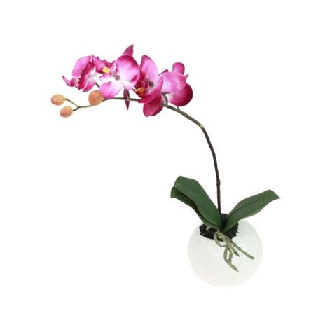 Floristik24 de Künstliche Orchideen im Topf Phalaenopsis Kunstblumen