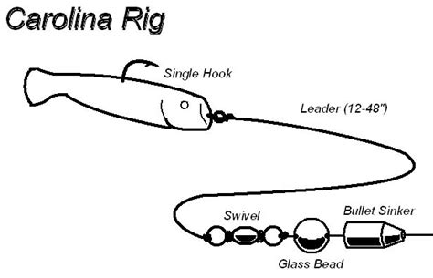 Carolina rig - Alchetron, The Free Social Encyclopedia