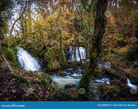 Edenvale Waterfall Stock Image Image Of Natural Background 62898973