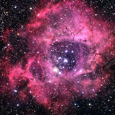 Rosette Nebula NGC 2237 Caldwell 49 Stock Image C033 4674