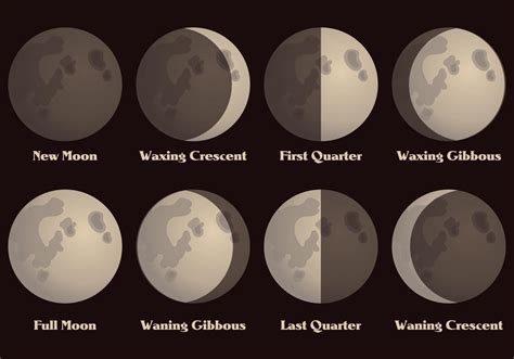 Moon Phases Vector 107031 Vector Art at Vecteezy