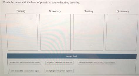 Solved Match The Items With The Level Of Protein Structure Chegg