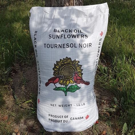 50 lb Black Oil Sunflower Seeds bag | Trawin Seeds