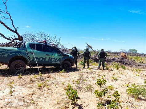 Dono de fazenda em Paranã é autuado em R 202 mil por desmatamento de