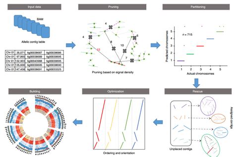 Use ALLHiC To Assist Genome Assembly Based On HiC Data Programmer Sought