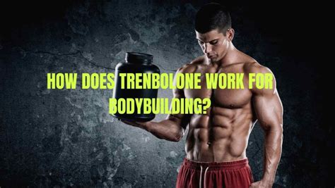 A Guide To Trenbolone How To Use Cycling Stacking And Other