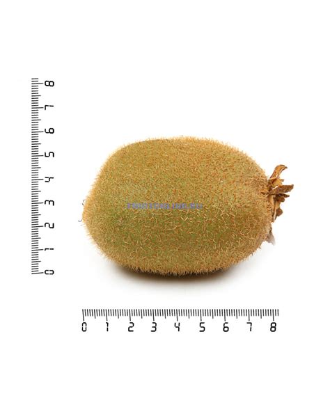 Купить Киви Новая Зеландия в Fruitonline.