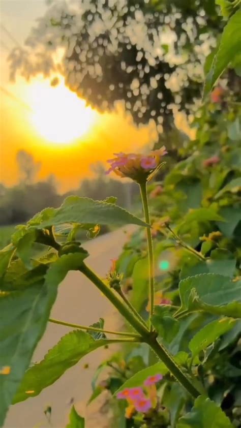 Nature short - One News Page VIDEO