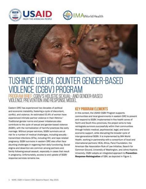 Gender Based Violence Technical Overview Ima World Health