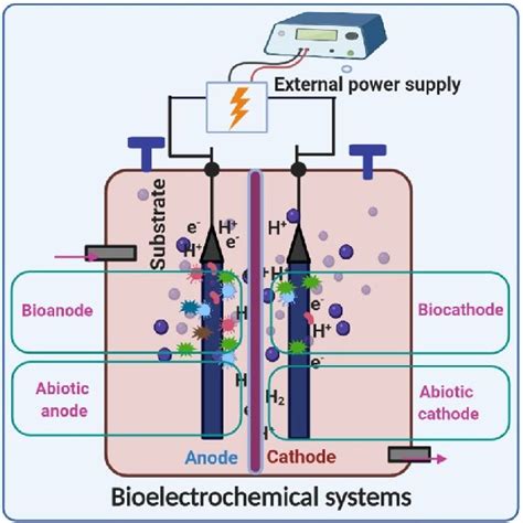 Pdf Bioelectrochemical System Mediated Waste Valorization