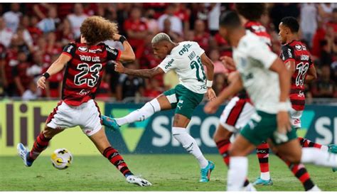 Grande Sequ Ncia Como Mandante Flamengo N O Perde Para O Palmeiras