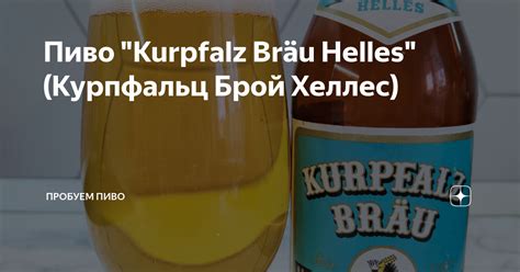 Пиво "Kurpfalz Bräu Helles" (Курпфальц Брой Хеллес) | Дегустируем ...
