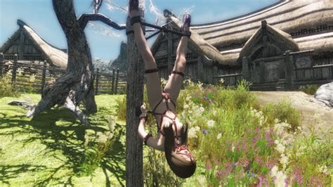 Devious Devices Luxury Collection Bikini Armors Patches For Vanilla And Various Mods Sexual