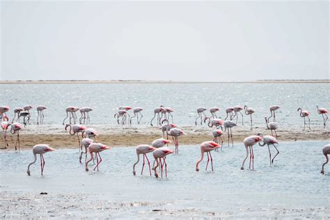 ruta de  dias por libre por namibia itinerario consejos
