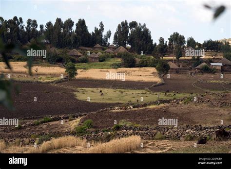 A Small Remote Isolated Tigrayan Farming Village In The Northern