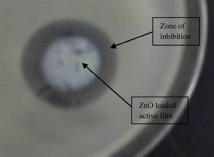 Zone Of Inhibition Of Active Zno Nanoparticles Loaded Fi Lm Against