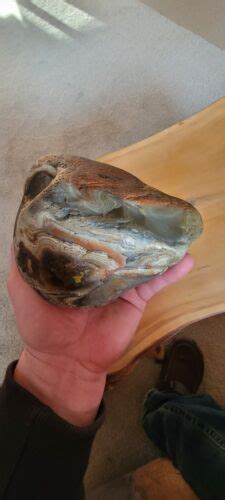 Lake Superior Agate Pounds Ounce Ebay