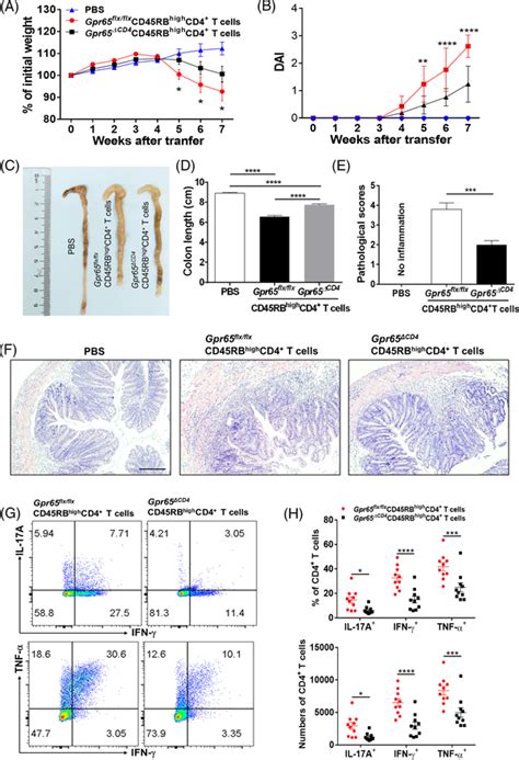 Gpr Cd Cd Rbhighcd T Cells Mitigate Chronic Colitis In Rag