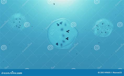 Cell Lysis, 3d Animation. Breaking Down of the Membrane of a Cell Stock Video - Video of ...