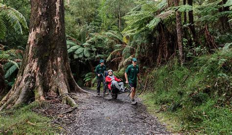 Anglers Rest Camping Area Mitta Mitta River Heritage River Alpine