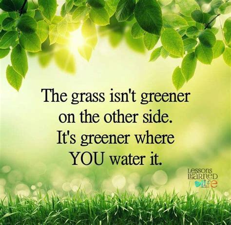 The Grass Isn T Greener On The Other Side It S Greener Where You Water It Lessons Learned In